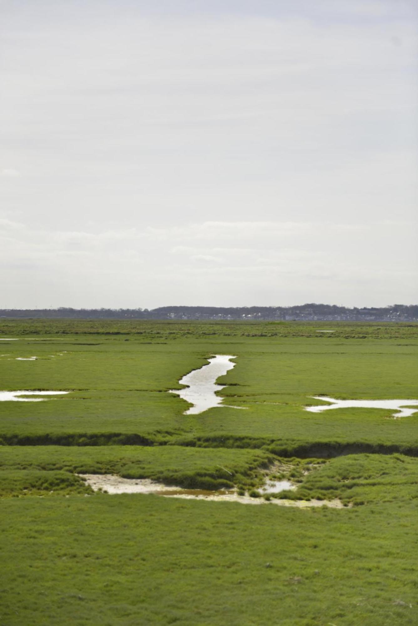 Le Cottage De La Baie - Vue Mer En Baie De Somme Woignarue Esterno foto